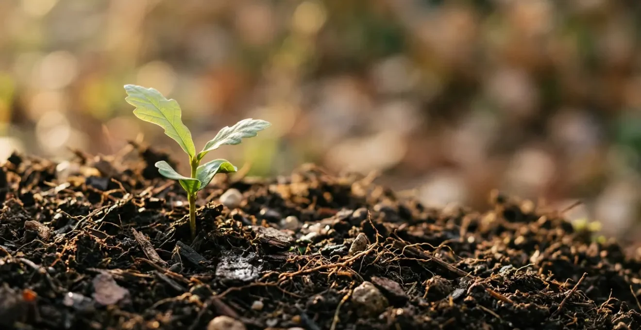 Placement financier sécurisé pour l'épargne familiale avec rendement garanti
