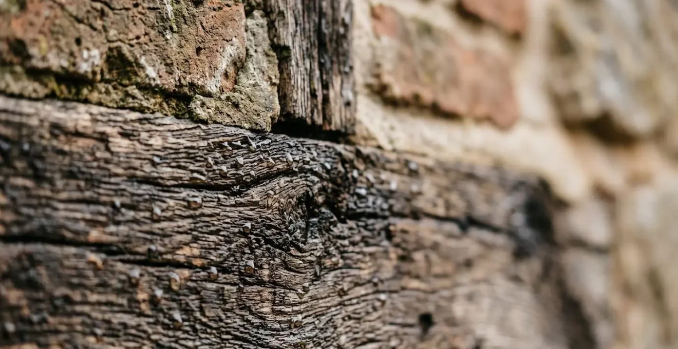 Illustration symbolisant la protection de la valeur d'un bien immobilier face aux risques